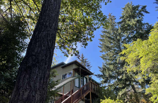 1411 Ash Street photos photos 1411 Ash Street photos photos