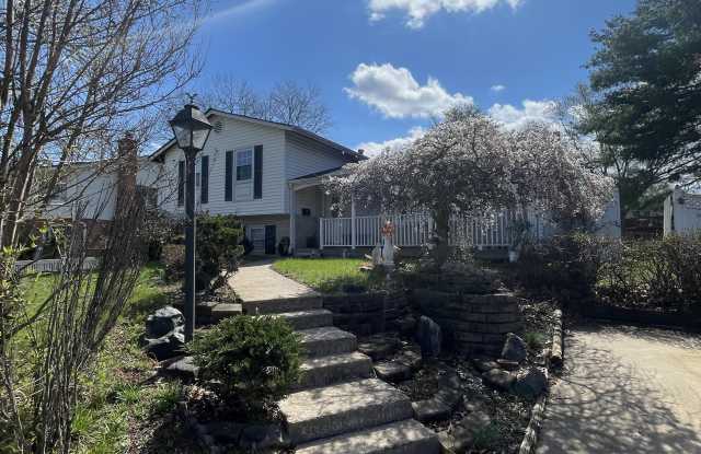 9513 Sudley Manor Drive photos photos