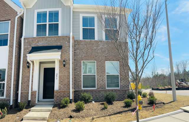 293 Chesapeake Commons Street - 293 Chesapeake Commons Street, Wake County, NC 27529 293 Chesapeake Commons Street - 293 Chesapeake Commons Street, Wake County, NC 27529