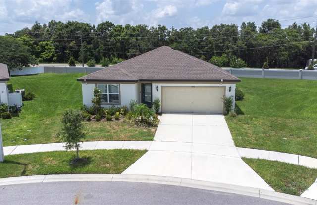 1050 MICHELANGELO LANE photos photos