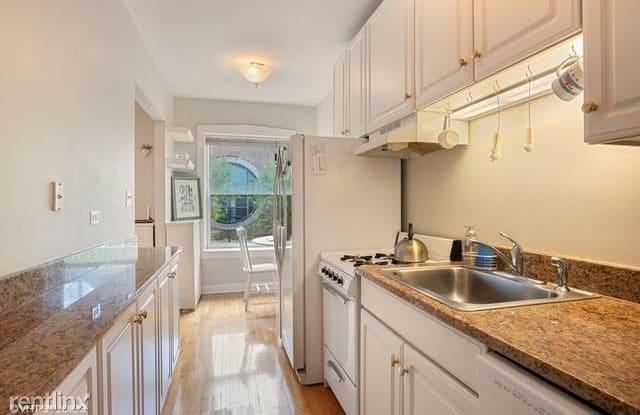 1020 W Barry Ave 3 - 1020 W Barry Ave, Chicago, IL 60657