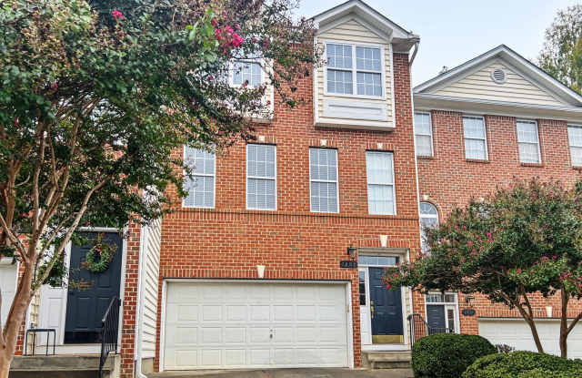 North Raleigh Delight! Gallery 1