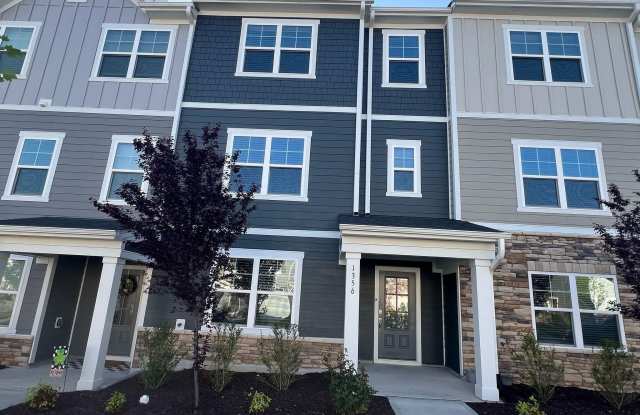 1356 Rosepine Drive - 1356 Rosepine Drive, Wake County, NC 27519 1356 Rosepine Drive - 1356 Rosepine Drive, Wake County, NC 27519