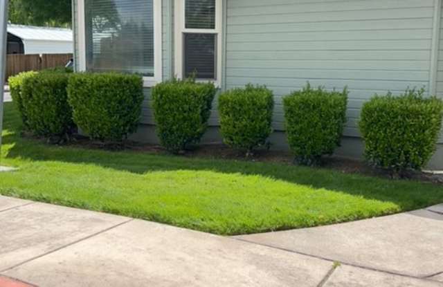 3 Bedroom 2 Bath Duplex photos photos