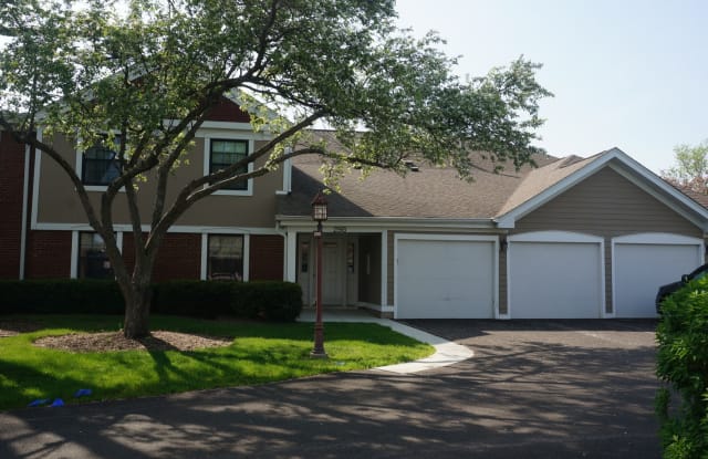 298 Maplewood Court - 298 Maplewood Court, Schaumburg, IL 60193
