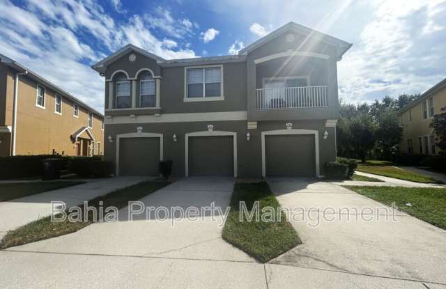 9036 Moonlit Meadows Loop - 9036 Moonlit Meadows Loop, Progress Village, FL 33578