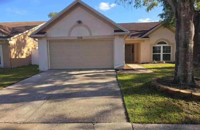 1113 Bloom Hill - 1113 Bloom Hill Avenue, Bloomingdale, FL 33596
