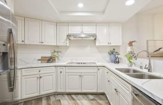 Live Elevated in the Heart of North Park! photos photos