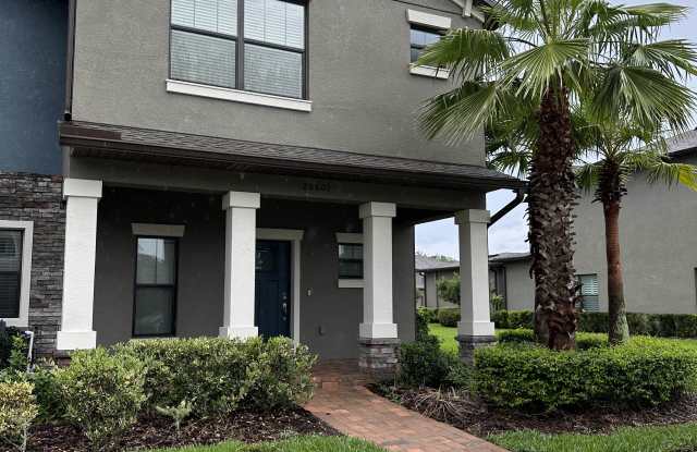 28601 Tranquil Lake Circle photos photos