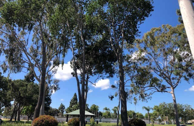 3237 Del Amo Boulevard Gallery 2