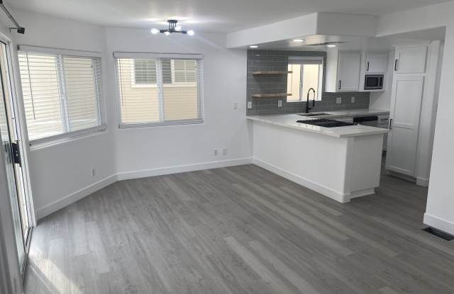 213 Moonstone St - 213 Moonstone Street, Manhattan Beach, CA 90266