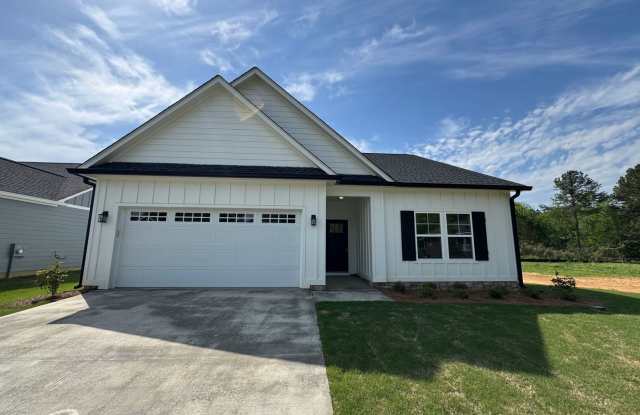 Brand New 3/2 House in Celanese- $2,095 - 38 Dogwood Street Northeast, Floyd County, GA 30161
