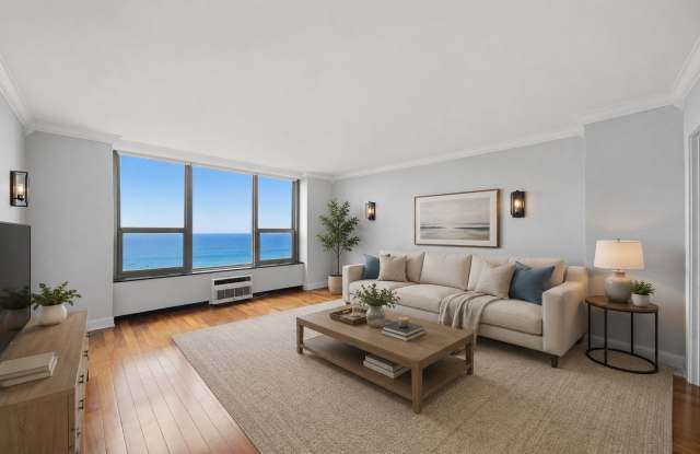 1550 N Lake Shore Drive Gallery 2