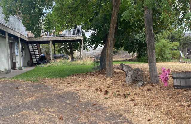 Cheney Studio Apartment Available 8/15 - 1307 2nd Street, Cheney, WA 99004