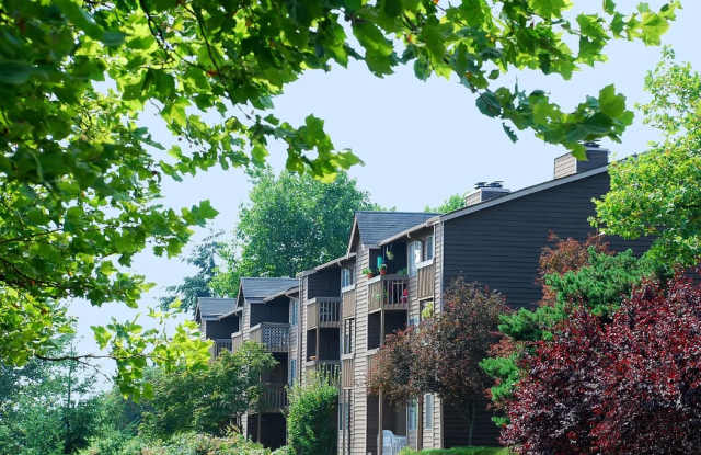 Bella Vista photos photos Bella Vista photos photos