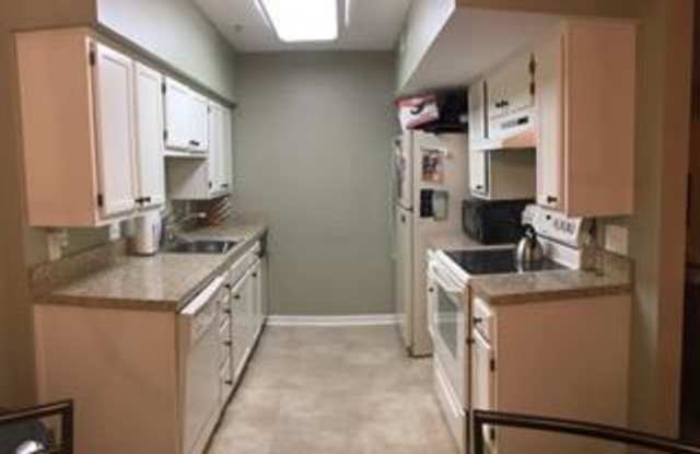 14913 CLEESE COURT Gallery 4