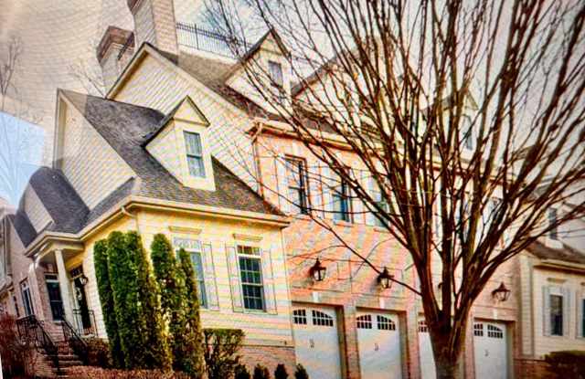 8 COLLINS MILL Court Gallery 1