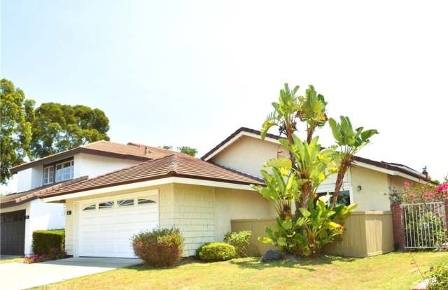 3 Silver Fir photos photos