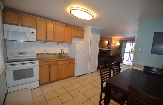 Blue River Condo! Bus route and additional storage! Year lease!  Unfurnished Gallery 1