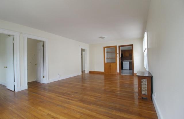 185 Orange Gallery 3