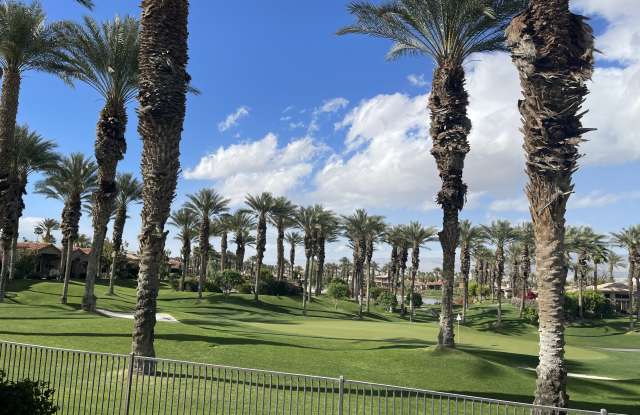 392 Desert Holly Drive Gallery 2
