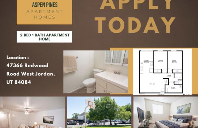 Aspen Pines photos photos