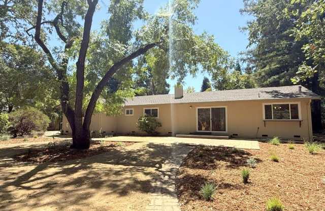 New Price ! Remodeled 3 bedroom plus den one story home in highly desirable Alamo with huge park like yard ! Gallery 3