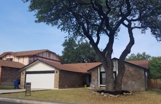 12314 AUTUMN VISTA ST - 12314 Autumn Vista St, San Antonio, TX 78249