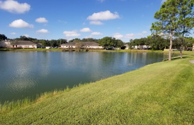 215 Lake Brook Cir #107 - 215 Lake Brook Cr 107, Brandon, FL 33511