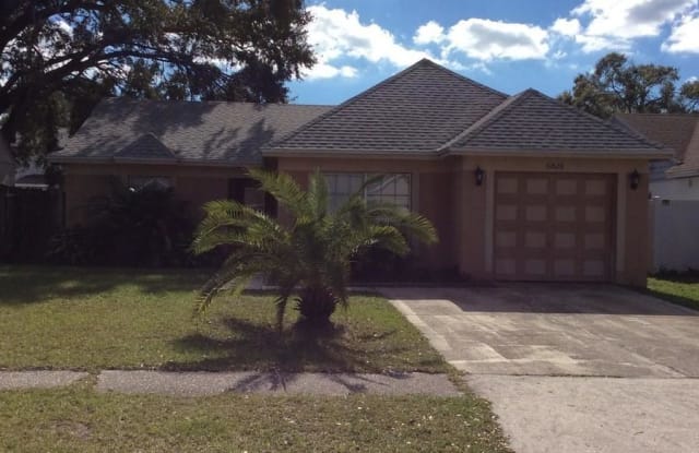 6828 SWAIN AVE - 6828 Swain Avenue, Citrus Park, FL 33625