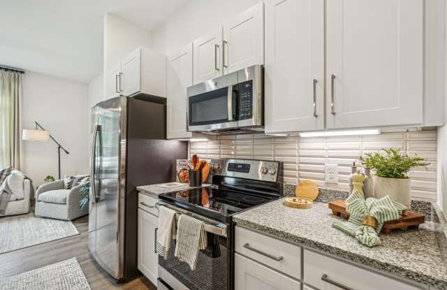 The Leo - 55+ Active Adult Apartment Homes photos photos