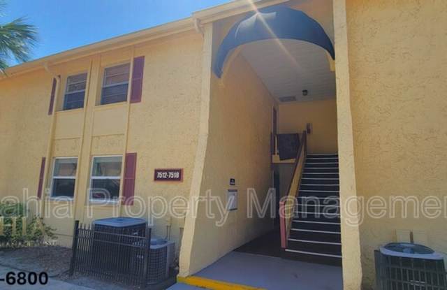7512 Dolonita Dr - 7512 Dolonita Drive, Town 'n' Country, FL 33615