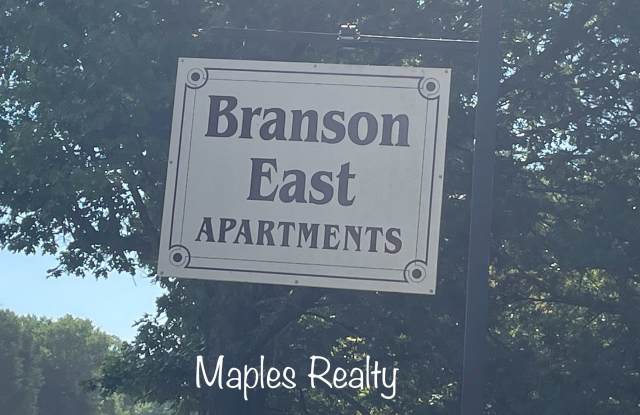 2 bedroom, 1 bathroom apartment in Kirbyville, MO photos photos