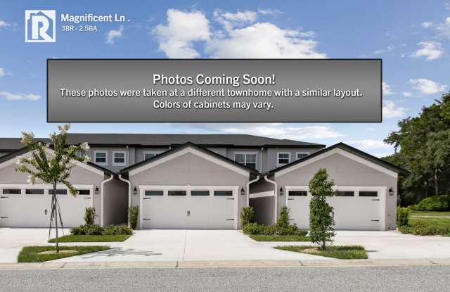 AVAILABLE TODAY! New Luxury Townhome finished with High-End Touches - 8572 Magnificent Lane, Groveland, FL 34736