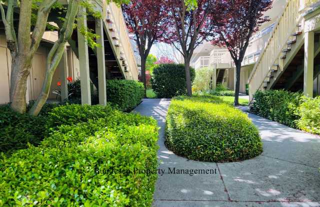 55 and over Diamond Head Community ~ 720 Petaluma Boulevard South #10 photos photos