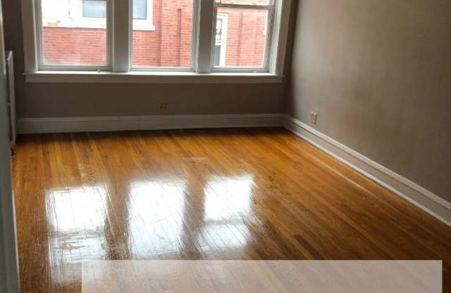 3115 West Foster Avenue - 3115 West Foster Avenue, Chicago, IL 60625