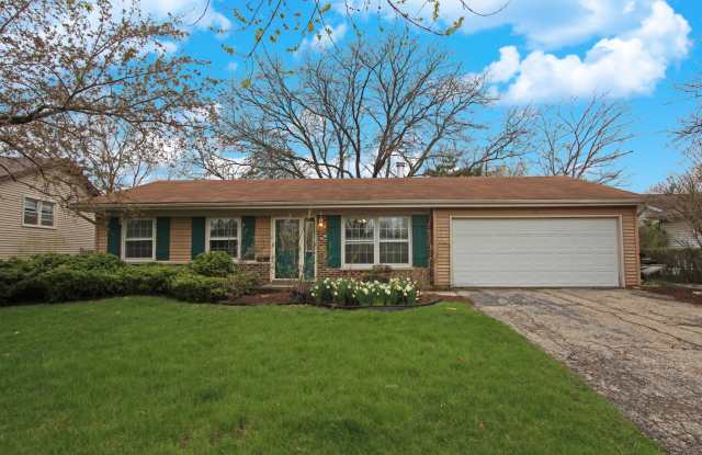 65 Old Mill Grove Road - 65 Old Mill Grove Road, Lake Zurich, IL 60047