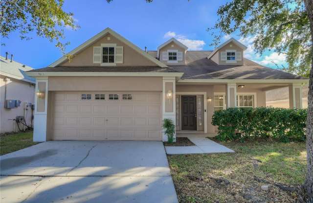 3117 SUMMER CRUISE DRIVE - 3117 Summer Cruise Drive, Valrico, FL 33594