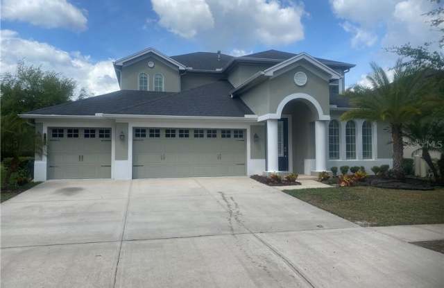 8008 CYPRESS CROSSING COURT - 8008 Cypress Crossing Court, Tampa, FL 33647