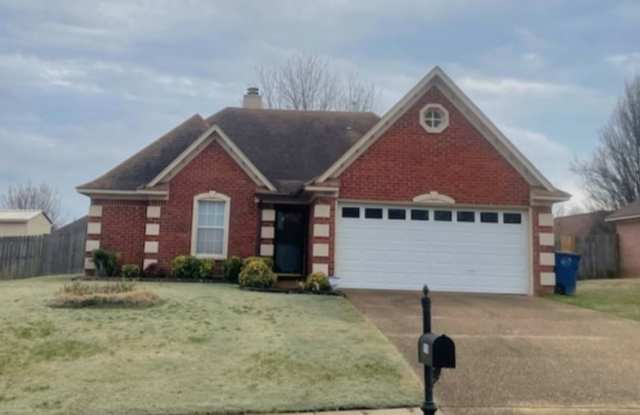 Olive Branch schools! photos photos