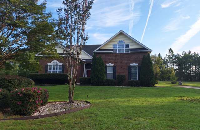 Magnificent Three bedroom, Three bathroom Brick Home! Located in the Spring Valley Community - 125 Clark Ridge Road, Richland County, SC 29223