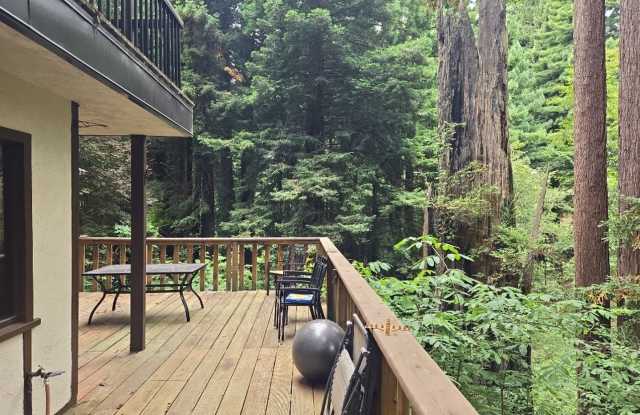 Redwood views! 3BR/2BA 2-story Eureka home! Gallery 4