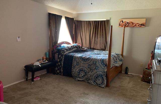 8520 Pedernales Trail Gallery 3