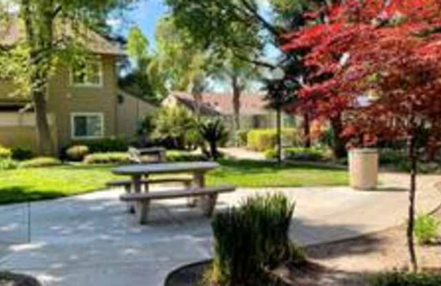 Valley Oak Gallery 4