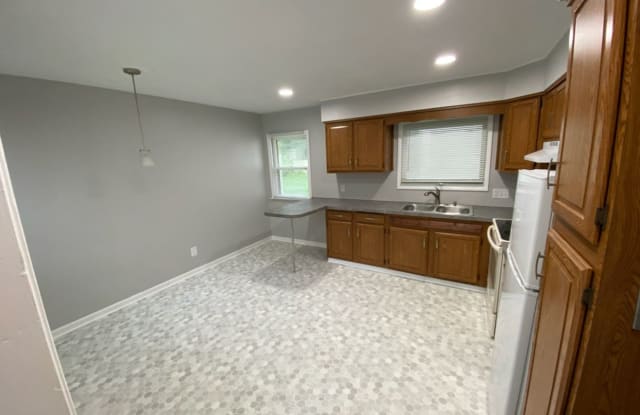 1001 Bensch St - 1001 Bensch Street, Lansing, MI 48912