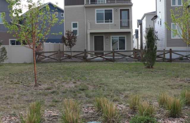 *MOVE IN SPECIAL: $250 OFF 1st MONTH'S RENT* Gorgeous Banning Lewis Ranch Gallery 4