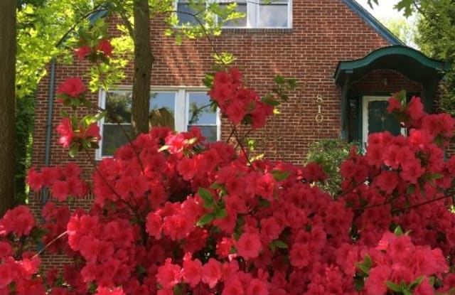 810 Houston Ave - 810 Houston Avenue, Silver Spring, MD 20912