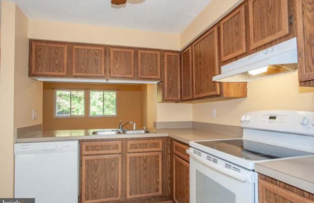 7118 DIJOHN COURT DR Gallery 3