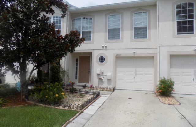 4732 Ashburn Pond Way - 4732 Ashburn Pond Way, East Lake-Orient Park, FL 33610