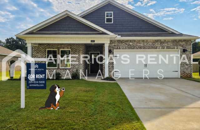 New Construction Home for Rent! Gallery 1
